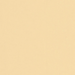 2204 - Slonová kost