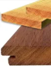 Exotické tropické